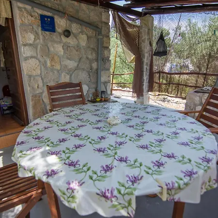 House Viola Otok Zizanj