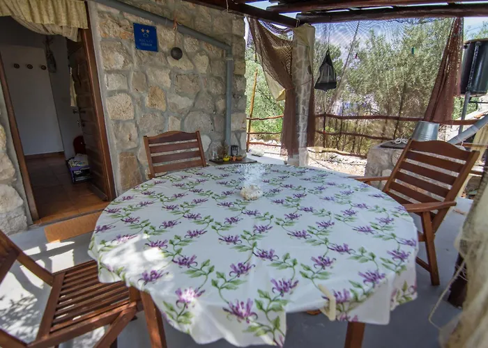 House Viola Otok Zizanj