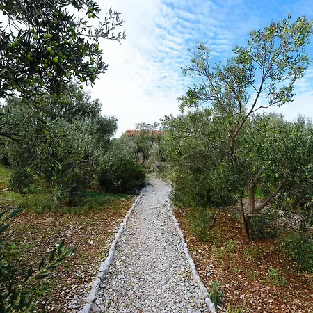 House Viola * Otok Zizanj