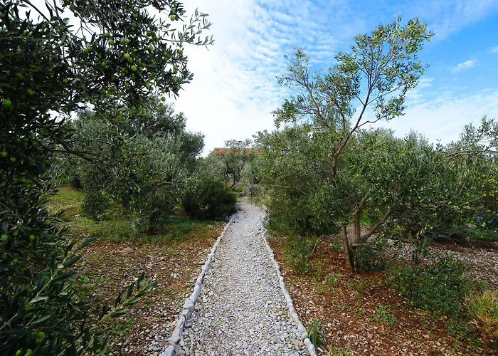 House Viola * Otok Zizanj